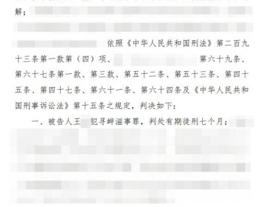 編造理想汽車謠言，男子被判刑七月：網(wǎng)絡(luò)不是法外之地