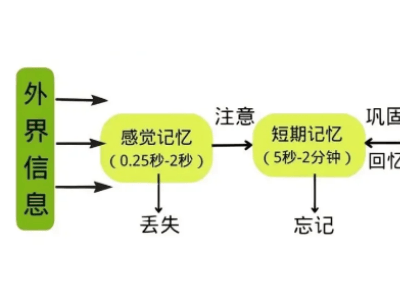 講真平臺：科學記憶新探索，助力學員記憶力飛躍提升