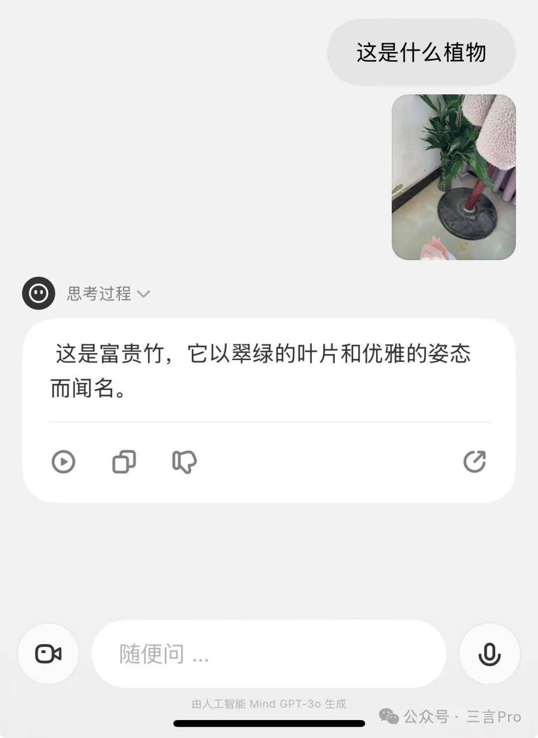 理想同學(xué)靜物識(shí)別測(cè)試